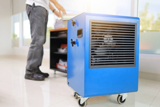 Best Mold-Related Health Consultation  in Blackwells Mills, NJ